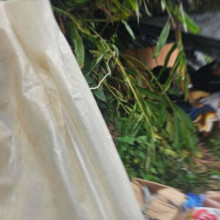 Cambuches encierran inseguridad en el barrio Los Álamos de Manizales